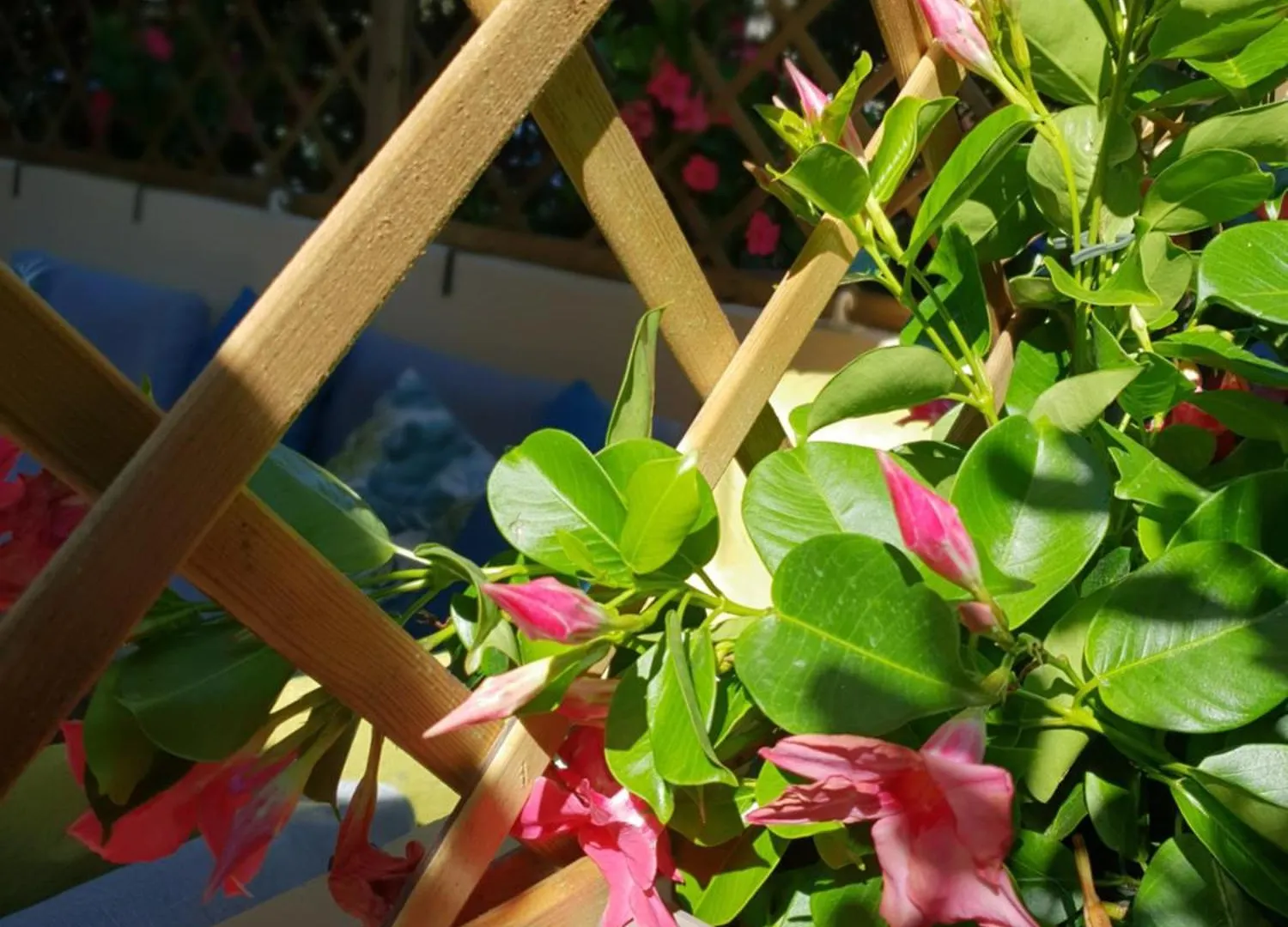 Versilia Apartment Forte dei Marmi